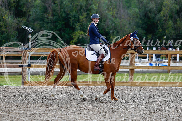 2025 - Haylee - Picco Horse Show - Saturday July 26th 00523
