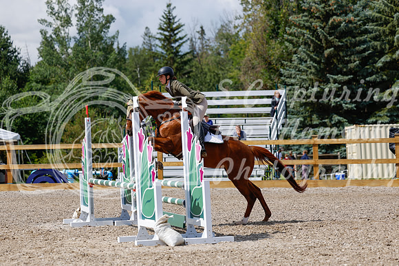 2025 - Haylee - Picco Horse Show - Sunday July 27th 03157