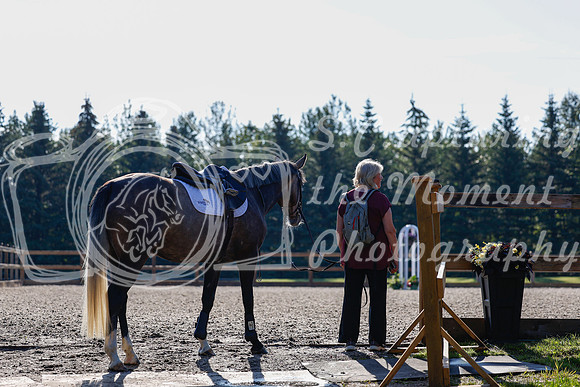 2025 - Haylee - Picco Horse Show - Thursday July 24th 00020