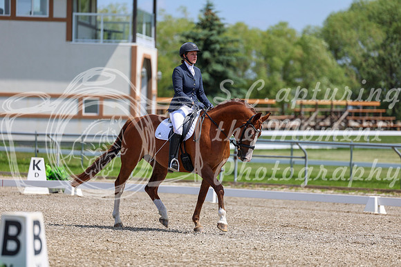 2025 - Dressage Festival - Saturday July 5th - 06361