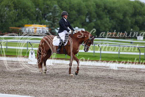 2025 - Dressage Festival - Sunday July 6th - 09026