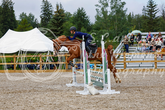 2025 - Haylee - Picco Horse Show - Sunday July 27th 01934
