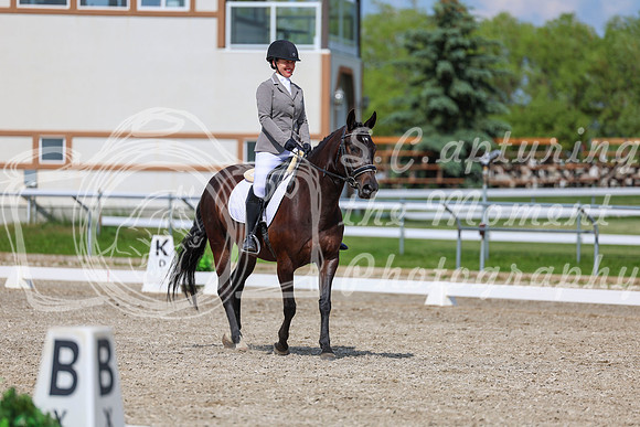 2025 - Dressage Festival - Saturday July 5th - 14606