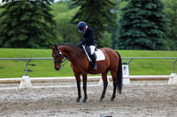 2025 - Dressage Festival - Sunday July 6th - 13175