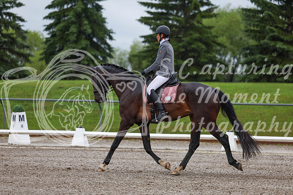 2025 - Dressage Festival - Sunday July 6th - 00631