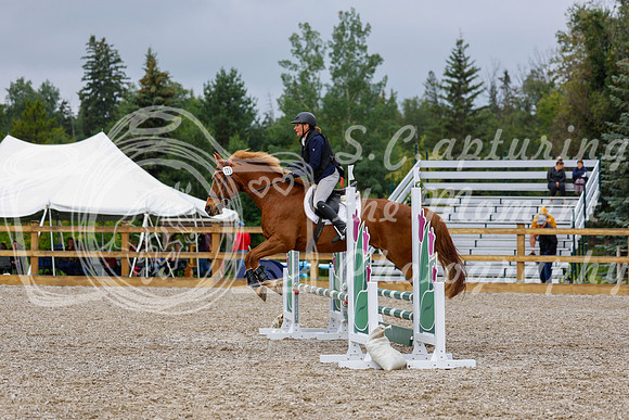 2025 - Haylee - Picco Horse Show - Sunday July 27th 01395