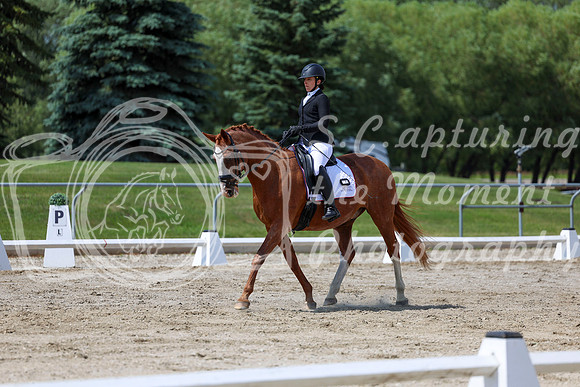 2025 - Dressage Festival - Saturday July 5th - 10073