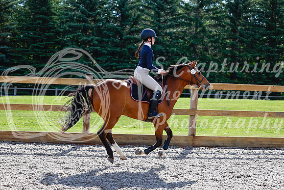 2025 - Haylee - Picco Horse Show - Thursday July 24th 01040
