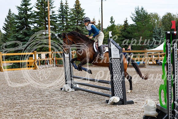 2025 - Haylee - Picco Horse Show - Saturday July 26th 00373