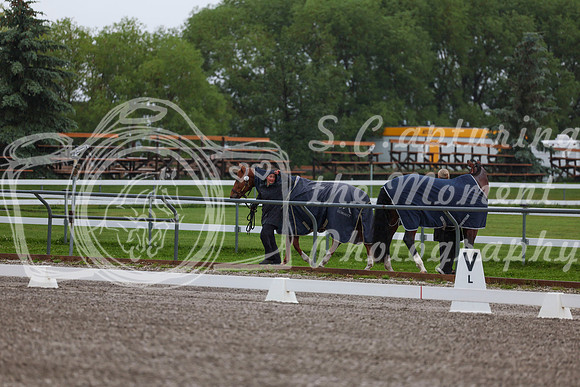 2025 - Dressage Festival - Sunday July 6th - 00160