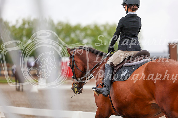 2025 - Dressage Festival - Sunday July 6th - 01801