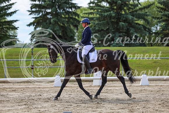 2025 - Dressage Festival - Saturday July 5th - 14801