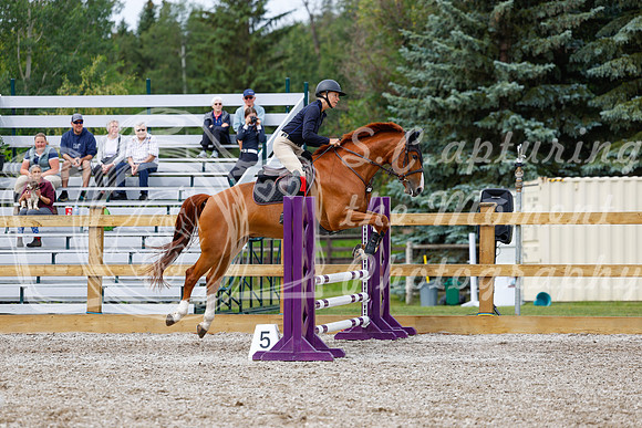 2025 - Haylee - Picco Horse Show - Friay July 25th 01765