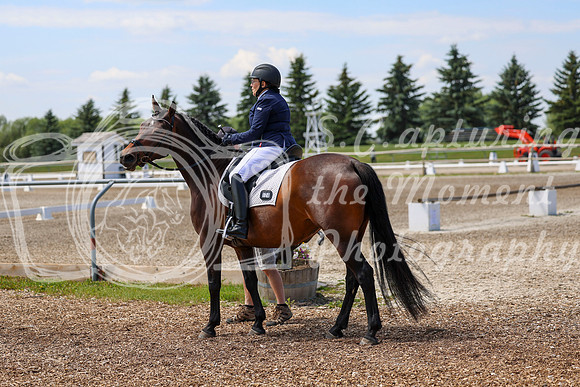 2025 - Dressage Festival - Saturday July 5th - 05994