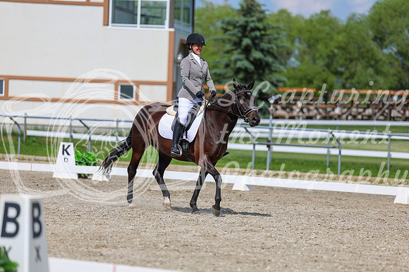 2025 - Dressage Festival - Saturday July 5th - 14544