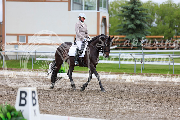 2025 - Dressage Festival - Sunday July 6th - 10444
