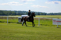 2025 - Shea - Teesdale - Friday July 25th - 03565