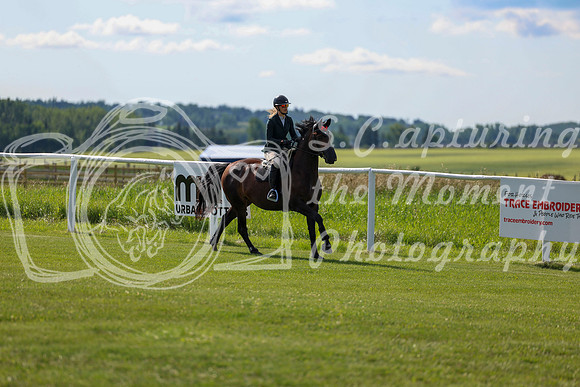 2025 - Shea - Teesdale - Friday July 25th - 03565