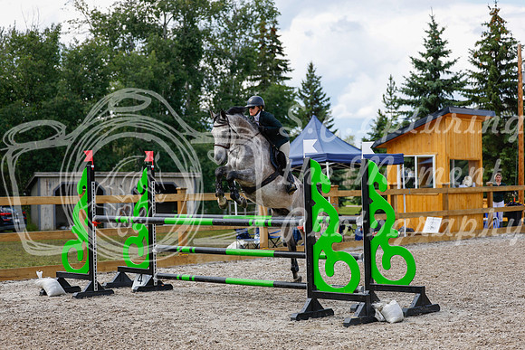2025 - Haylee - Picco Horse Show - Sunday July 27th 05892