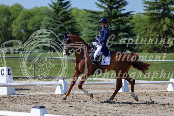 2025 - Dressage Festival - Saturday July 5th - 04276