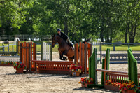 2025 - Mara - June Classic I - Sunday June 15th - 07316