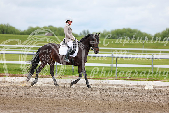 2025 - Dressage Festival - Sunday July 6th - 10568