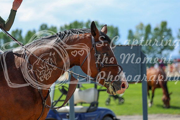 2025 - Shea - Rocky Mountain Classic I - Wednesday August 6th - 07005