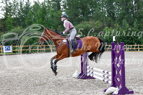2025 - Haylee - Picco Horse Show - Saturday July 26th 00947