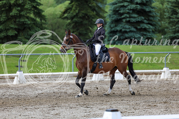 2025 - Dressage Festival - Sunday July 6th - 14411