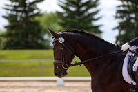 2025 - Dressage Festival - Saturday July 5th - 14740
