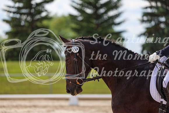 2025 - Dressage Festival - Saturday July 5th - 14740