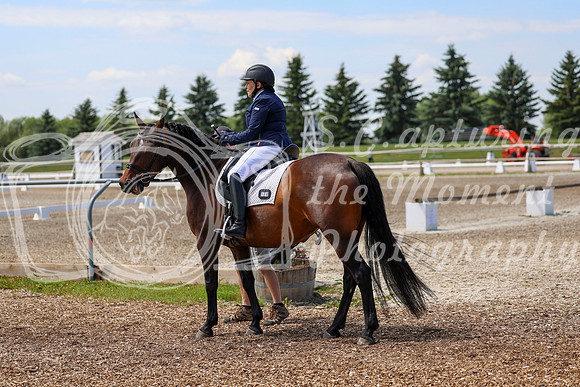2025 - Dressage Festival - Saturday July 5th - 06000