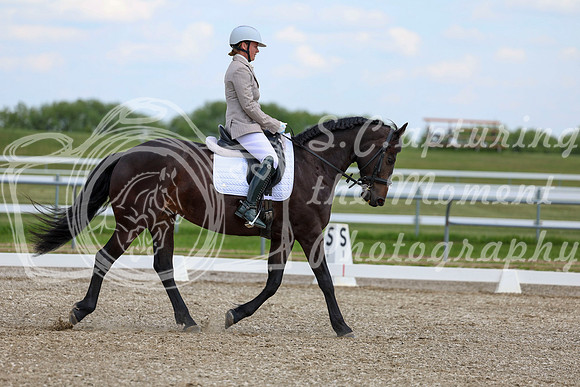 2025 - Dressage Festival - Saturday July 5th - 10681