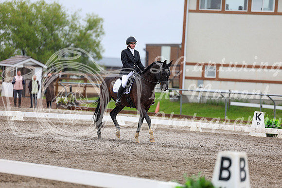 2025 - Dressage Festival - Sunday July 6th - 08113