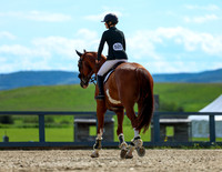 Rocky Mountain Classic I