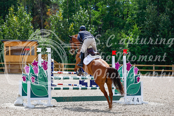 2025 - Haylee - Picco Horse Show - Sunday July 27th 04302