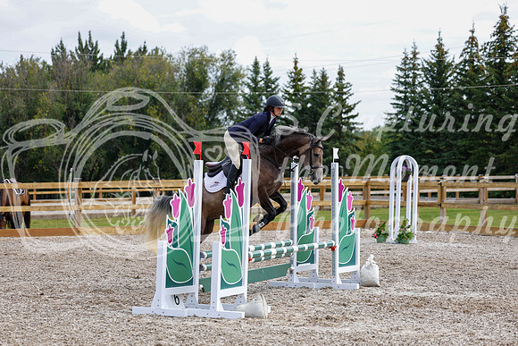 2025 - Haylee - Picco Horse Show - Saturday July 26th 03443