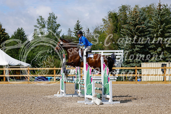 2025 - Haylee - Picco Horse Show - Sunday July 27th 02443