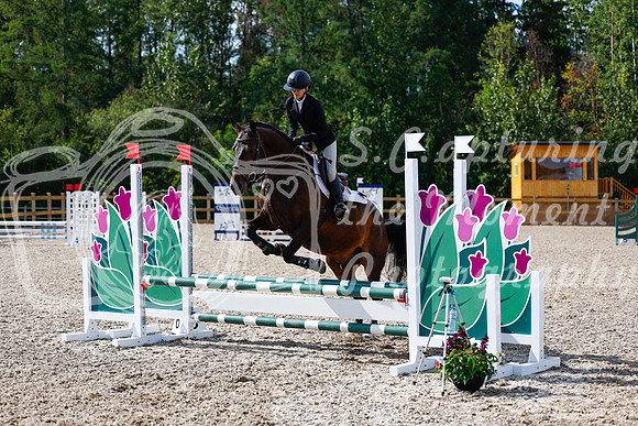 2025 - Haylee - Picco Horse Show - Thursday July 24th 01077