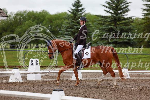 2025 - Dressage Festival - Sunday July 6th - 01345