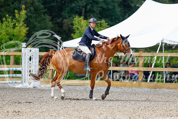2025 - Haylee - Picco Horse Show - Sunday July 27th 02661