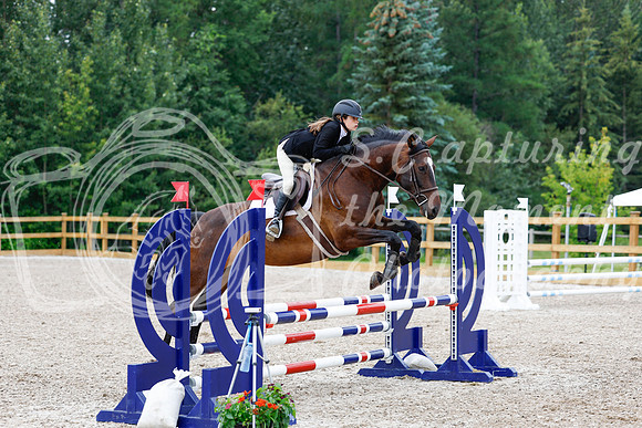 2025 - Haylee - Picco Horse Show - Saturday July 26th 04322