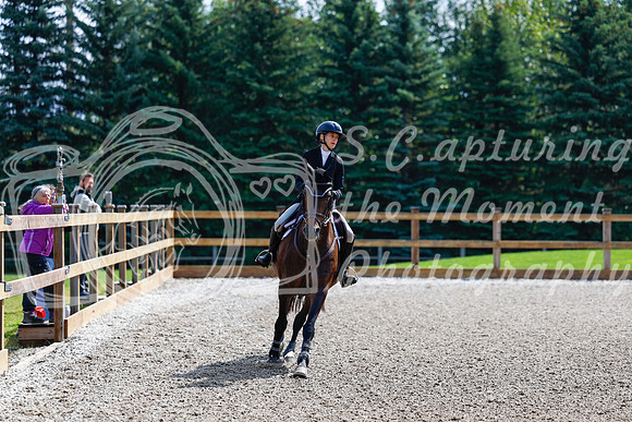 2025 - Haylee - Picco Horse Show - Sunday July 27th 02405