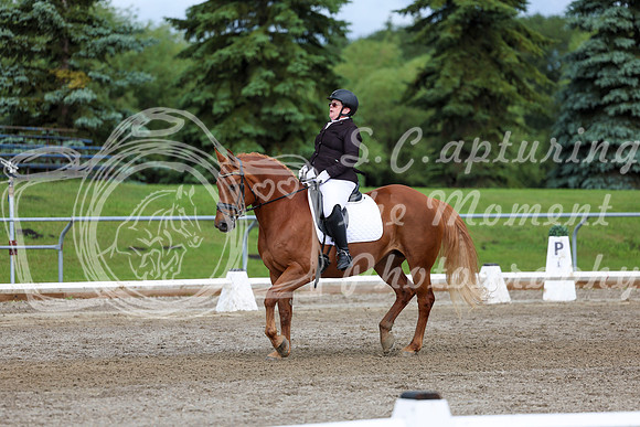 2025 - Dressage Festival - Sunday July 6th - 11304