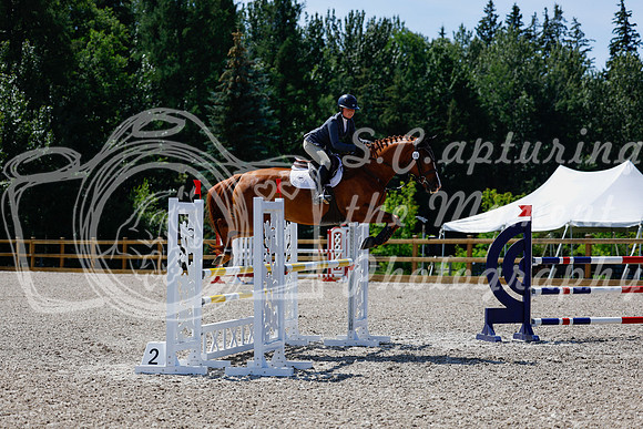 2025 - Haylee - Picco Horse Show - Thursday July 24th 03547