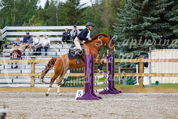 2025 - Haylee - Picco Horse Show - Friay July 25th 01764