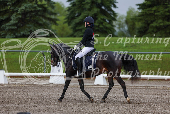 2025 - Dressage Festival - Sunday July 6th - 00024