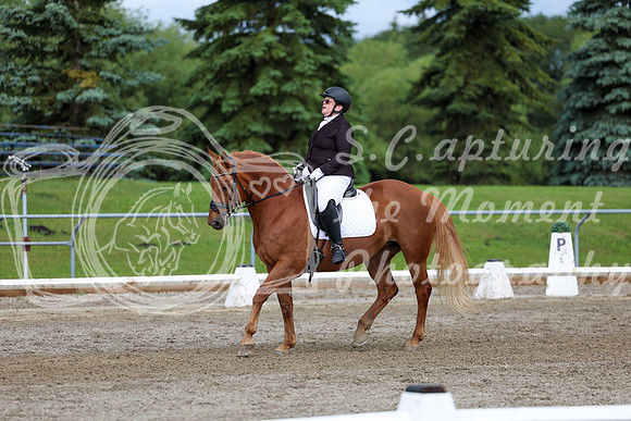 2025 - Dressage Festival - Sunday July 6th - 11306