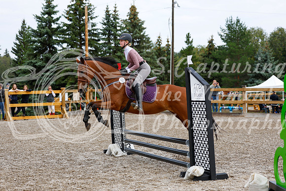2025 - Haylee - Picco Horse Show - Saturday July 26th 00953