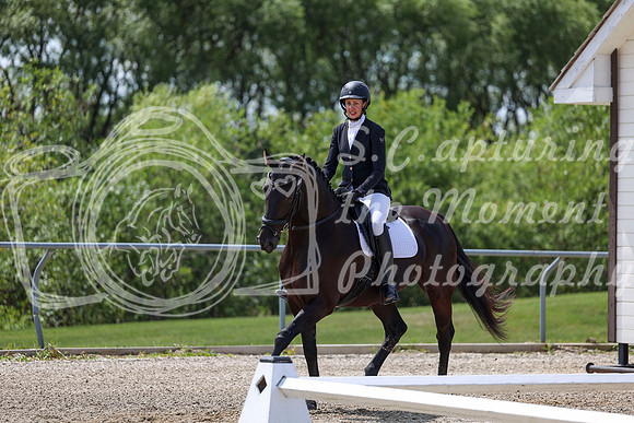 2025 - Dressage Festival - Saturday July 5th - 06959